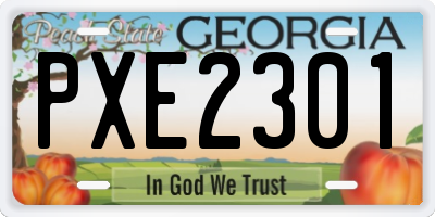 GA license plate PXE2301