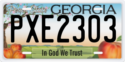 GA license plate PXE2303