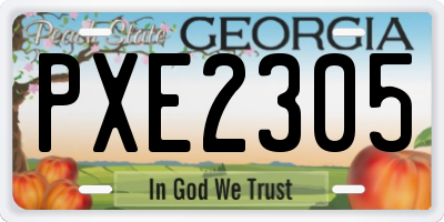 GA license plate PXE2305