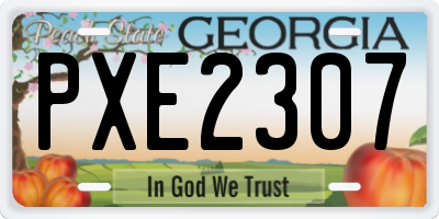 GA license plate PXE2307