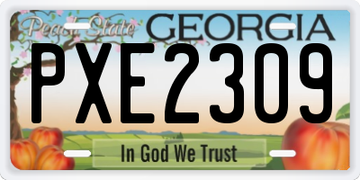 GA license plate PXE2309
