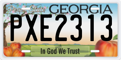 GA license plate PXE2313