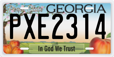 GA license plate PXE2314
