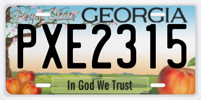 GA license plate PXE2315