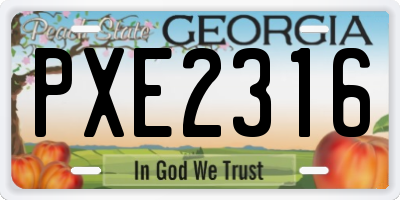 GA license plate PXE2316