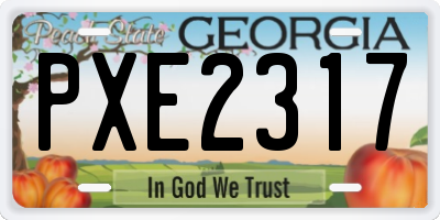 GA license plate PXE2317
