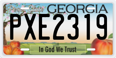 GA license plate PXE2319