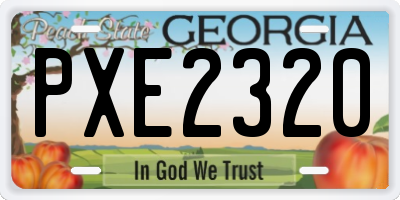 GA license plate PXE2320
