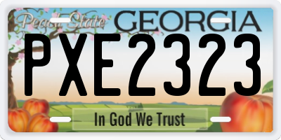 GA license plate PXE2323