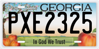 GA license plate PXE2325