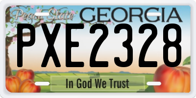 GA license plate PXE2328