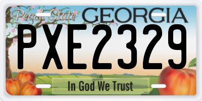GA license plate PXE2329