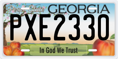 GA license plate PXE2330