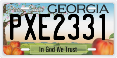 GA license plate PXE2331