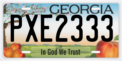 GA license plate PXE2333