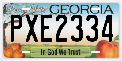 GA license plate PXE2334