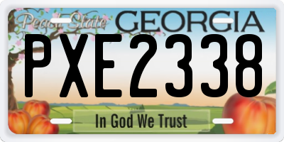 GA license plate PXE2338