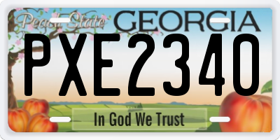 GA license plate PXE2340