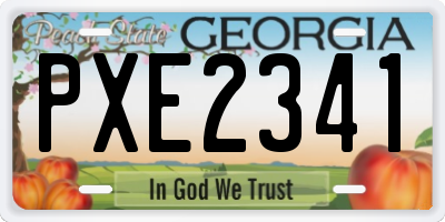 GA license plate PXE2341