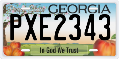 GA license plate PXE2343