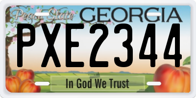 GA license plate PXE2344