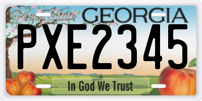 GA license plate PXE2345