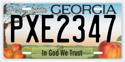 GA license plate PXE2347