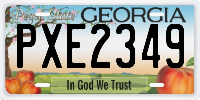 GA license plate PXE2349