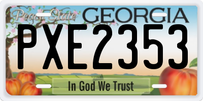 GA license plate PXE2353