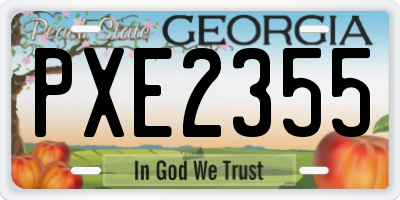 GA license plate PXE2355