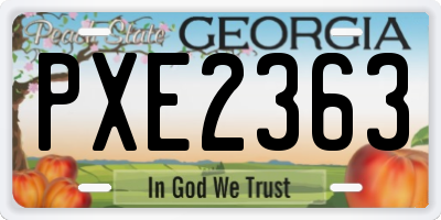 GA license plate PXE2363