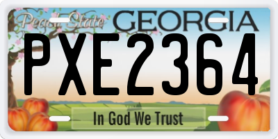 GA license plate PXE2364