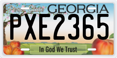 GA license plate PXE2365