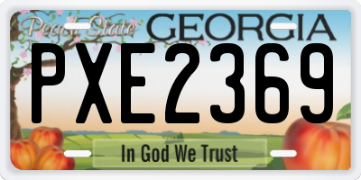 GA license plate PXE2369