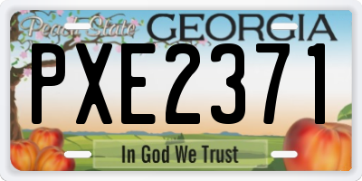 GA license plate PXE2371