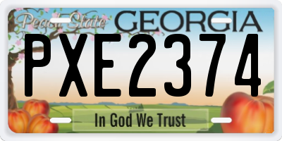 GA license plate PXE2374