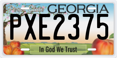 GA license plate PXE2375