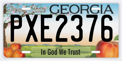 GA license plate PXE2376