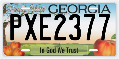 GA license plate PXE2377