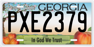 GA license plate PXE2379