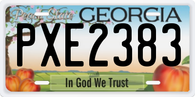 GA license plate PXE2383
