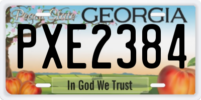 GA license plate PXE2384