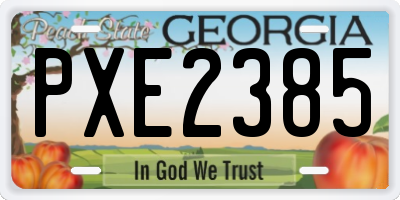 GA license plate PXE2385