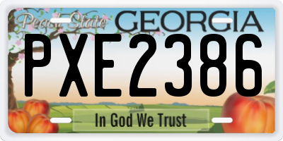 GA license plate PXE2386
