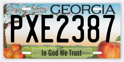 GA license plate PXE2387