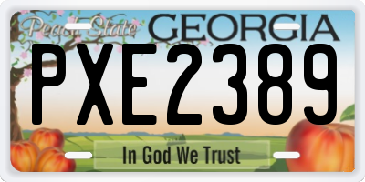 GA license plate PXE2389