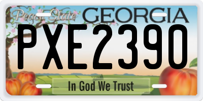 GA license plate PXE2390