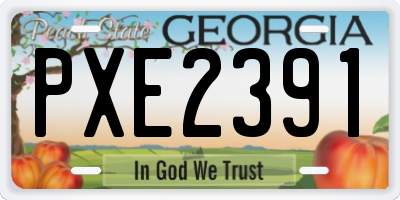 GA license plate PXE2391
