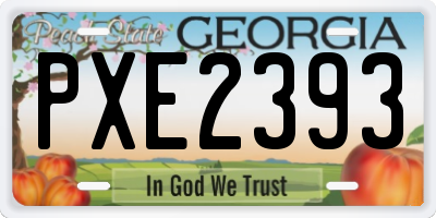 GA license plate PXE2393