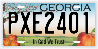 GA license plate PXE2401